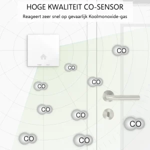 Koolmonoxidemelders*ELRO Ultra Dunne Koolmonoxidemelder Met 10 Jaar Batterij (Fc4610)
